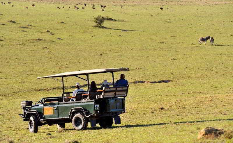 Kwantu Private Game Reserve Sidbury Dış mekan fotoğraf