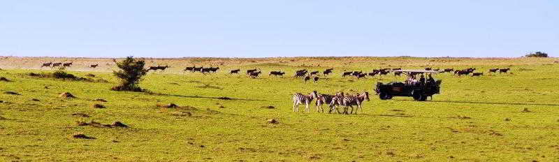 Kwantu Private Game Reserve Sidbury Dış mekan fotoğraf